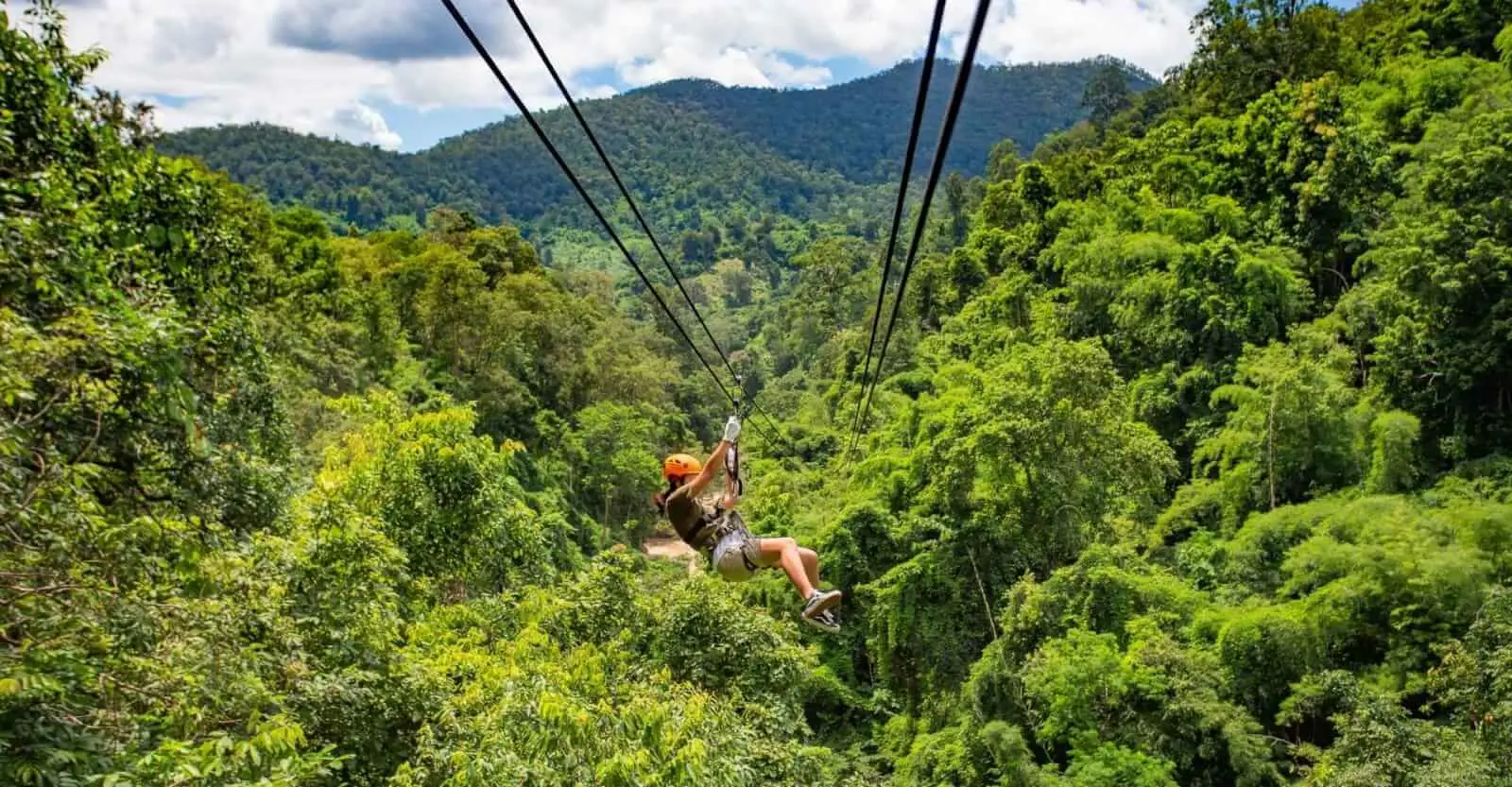 Zipline