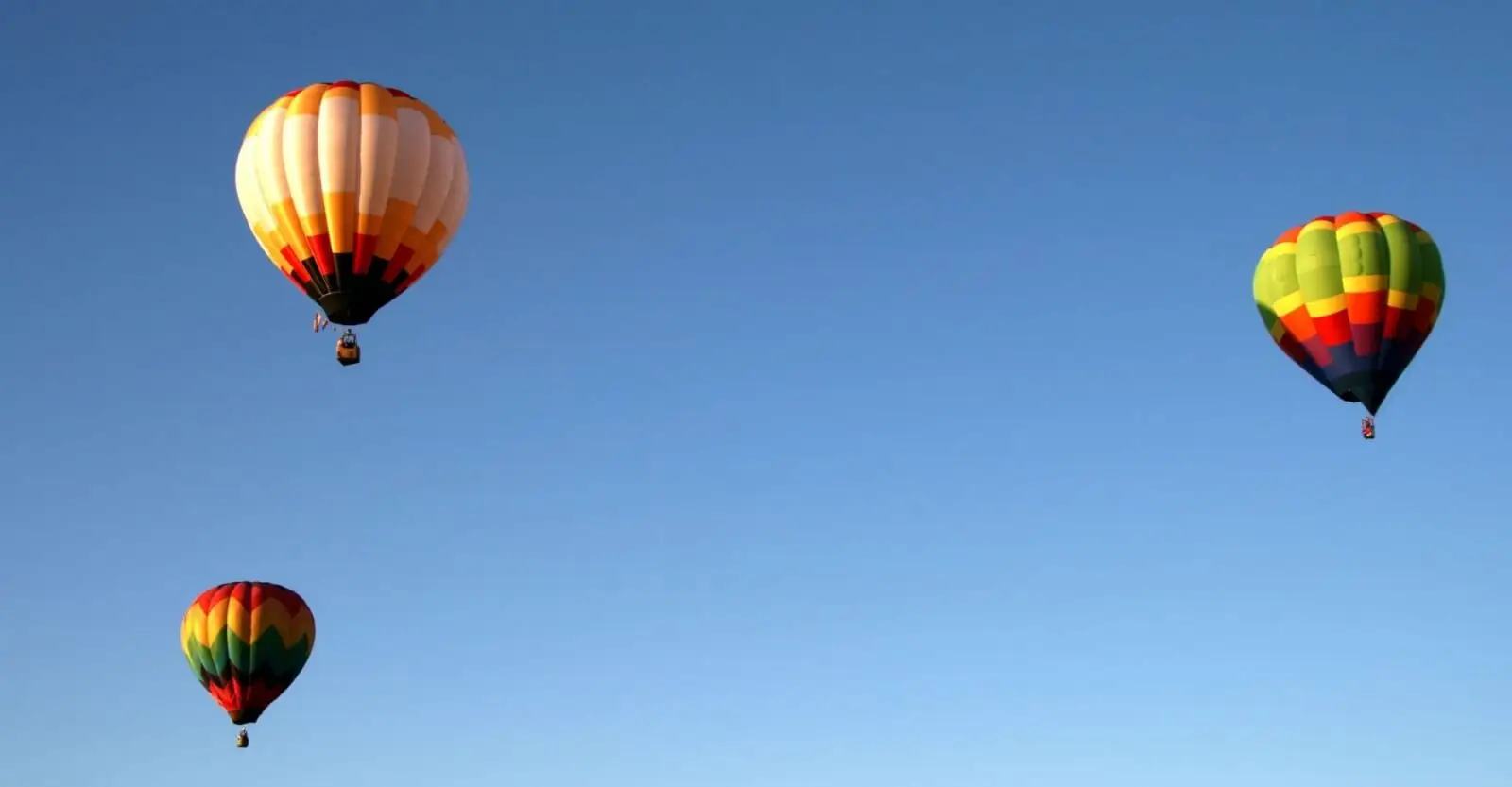 Bill Harrop's balloon safaris